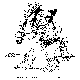 CAVEMAN.BMP
