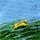 PLANE.BMP