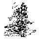 FIDDLER.BMP