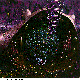 BODYCELL.BMP