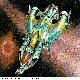 SPACESHP.BMP