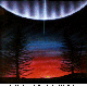 PINESUN.BMP