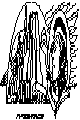 NEW_CITY.BMP