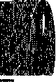 MOON_SUN.BMP