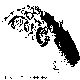 MOONLET.BMP