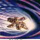 INTOWARP.BMP