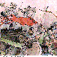 REDBANNR.BMP