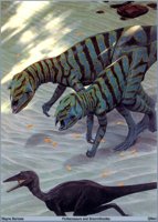 QMan_WB_TALOWB_1331_Psittacosaurs_and_Sinornithoides.jpg
