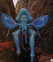 Ara0177_Barlowe.JPG