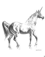 167.jpg