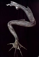 hr_giger_zodiacsignpisces_II.jpg