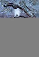 hr_giger_zodiacsignpisces_I.jpg