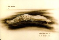 hr_giger_pII_the_worm_p4.jpg