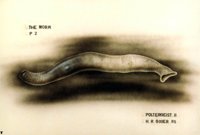 hr_giger_pII_the_worm_p2.jpg