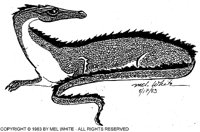 MEW-003B.BMP