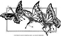 DLC-028B.BMP