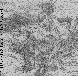JML008G.BMP