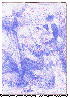 JML004C.BMP