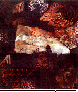 ELB-021C.BMP