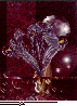 ELB-012C.BMP