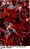 ELB-011C.BMP
