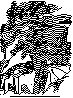 YZV-012B.BMP