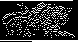WLR-016B.BMP