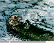 RGT-001C.BMP