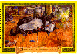 MOL041C.BMP