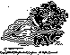 MOL004B.BMP