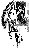 MEW-027B.BMP