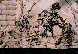 JOE008C.BMP