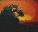 JOE001C.BMP