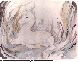 JLQ-070C.BMP