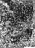 IGV-018G.BMP