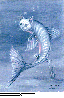 DLW-014C.BMP