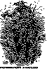 MPA003B.BMP