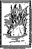 MEW-099B.BMP