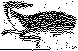 MEW-003B.BMP
