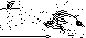 IGN-060B.BMP