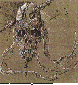 DSL-014C.BMP