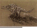 DSL-010C.BMP