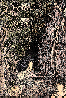 VLO-004C.BMP