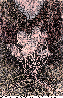 VLO-003C.BMP
