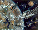 SVJ006C.BMP