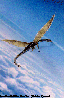 JPL025C.BMP