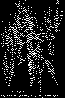 MPA004B.BMP