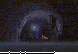 MOL-217C.BMP