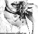 MGL008G.BMP