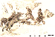 JUR008C.BMP